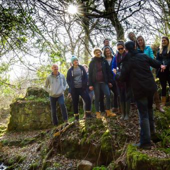 Group of individuals in a forest with sunlight